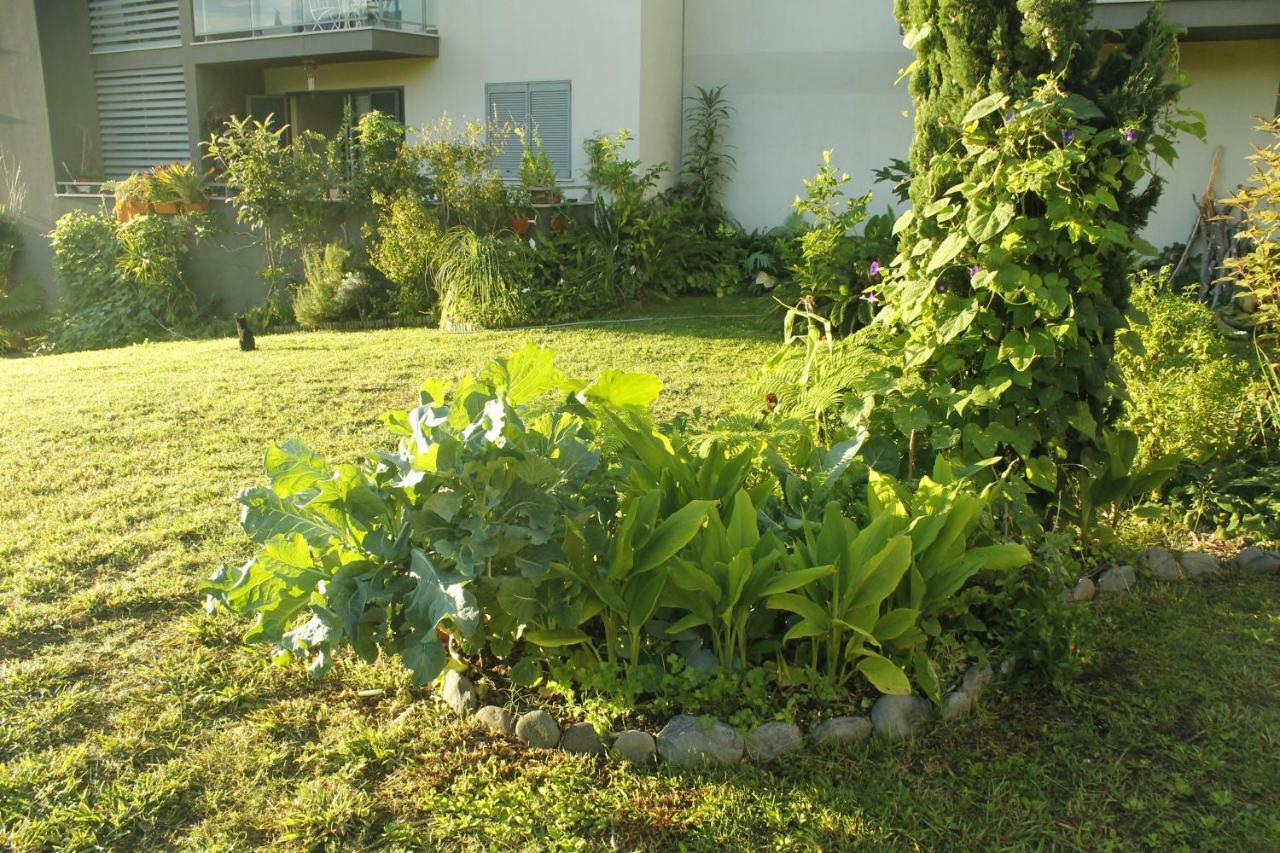 Rochas Shared Apart Garden Refuge 푼샬 외부 사진