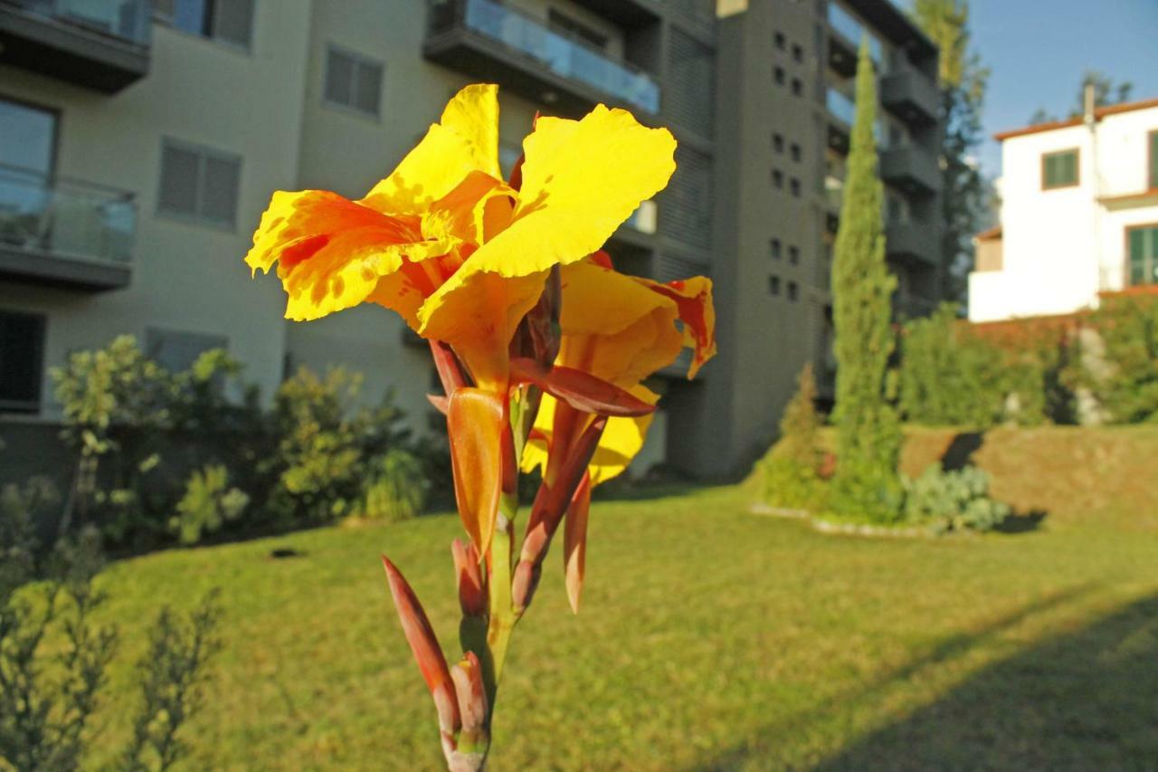 Rochas Shared Apart Garden Refuge 푼샬 외부 사진
